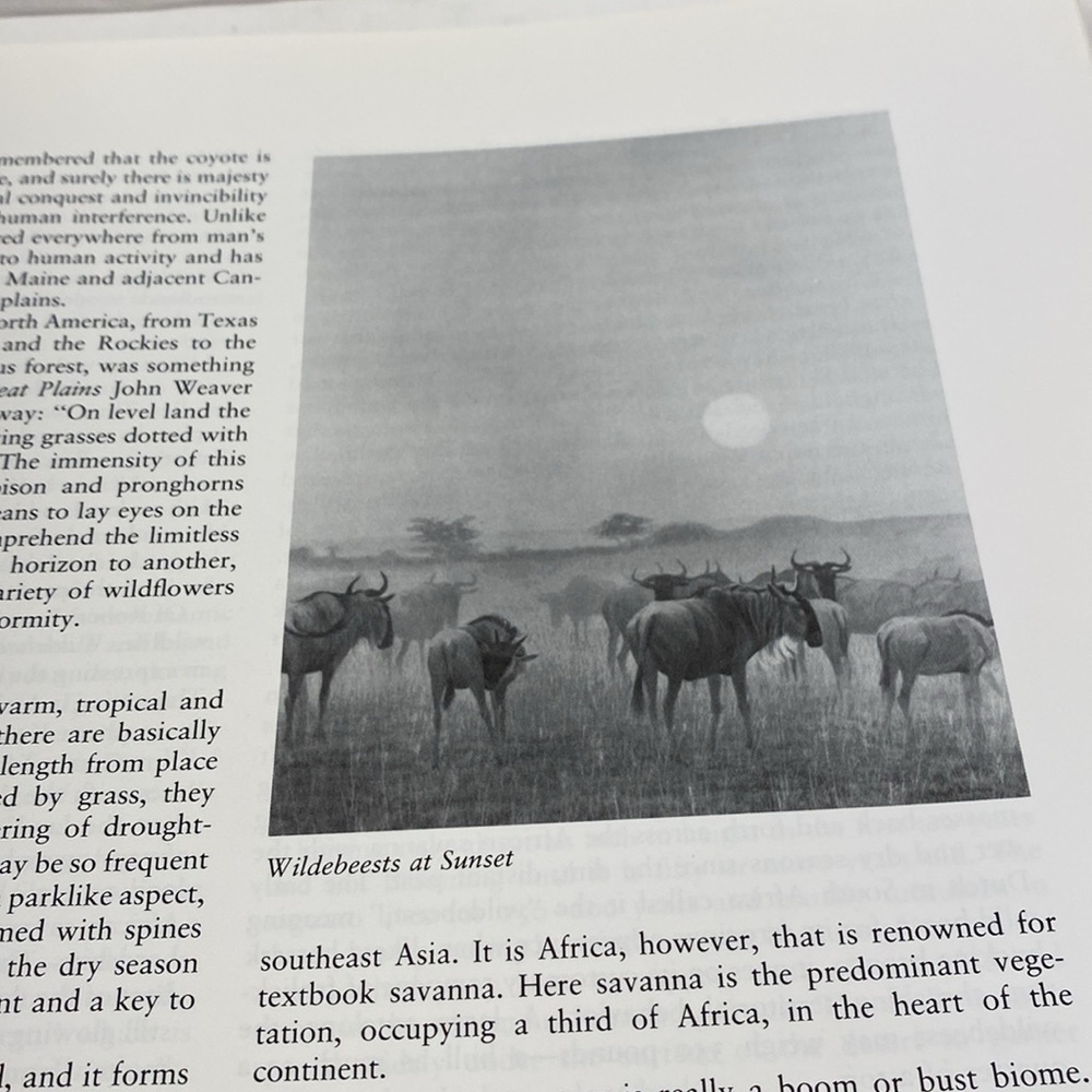 Portraits of nature paintings by Robert Bateman book - Picture 11 of 13